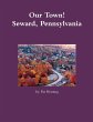 Our Town! Seward, Pennsylvania - Bild 1