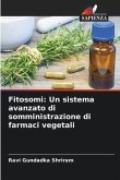 Fitosomi: Un sistema avanzato di somministrazione di farmaci vegetali