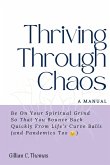 Thriving Through Chaos, A Manual