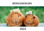 Meerschweinchen