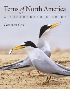 Terns of North America (eBook, PDF) - Cox, Cameron