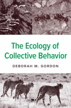 Cover The Ecology of Collective Behavior (eBook, ePUB)