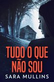 Tudo O Que Não Sou (eBook, ePUB)