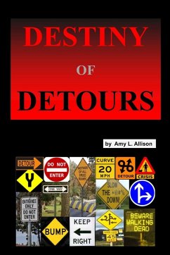 Destiny of Detours - Allison, Amy