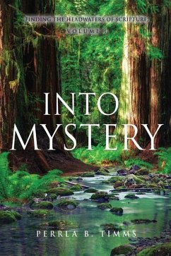 Into Mystery: Finding The Headwaters Of Scripture, Volume 1 - Tolbert, Cathy