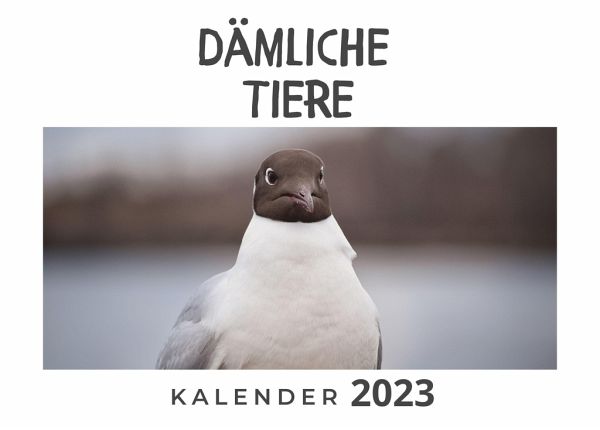 Dämliche_Tiere Dämliche_Tiere