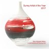 Surrey Artist of the Year 2017 - Bild 1