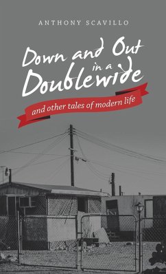 Down and out in a Doublewide and Other Tales of Modern Life - Scavillo, Anthony