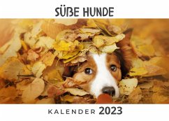 Süße Hunde - Hübsch, Bibi