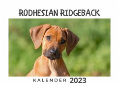Rodhesian Ridgeback - Hübsch, Bibi