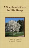 A Shepherd's Care for His Sheep
