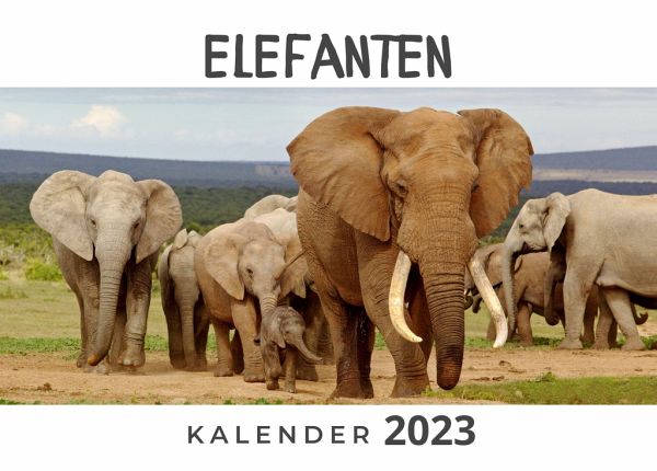 Elefanten
