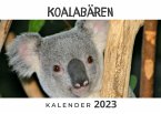 Koalabären