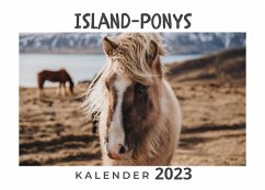 Island-Ponys - Hübsch, Bibi