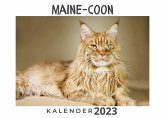 Maine-Coon