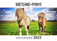 Shetland-Ponys - Hübsch, Bibi