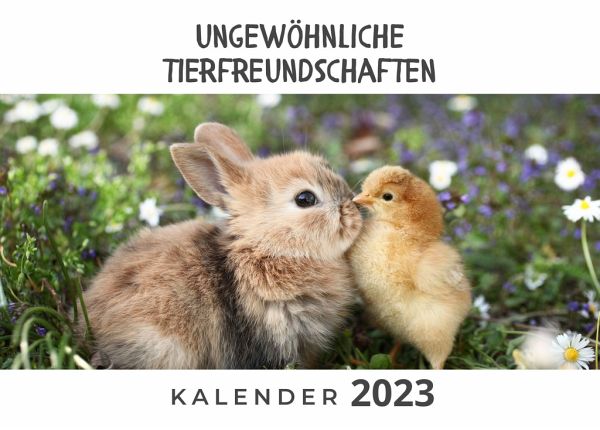 Ungewöhnliche Tierfreundschaften