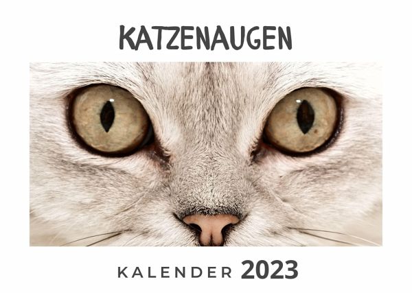 Katzenaugen Katzenaugen