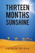 Thirteen Months of Sunshine - Bild 1