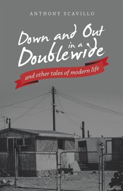 Down and out in a Doublewide and Other Tales of Modern Life - Scavillo, Anthony