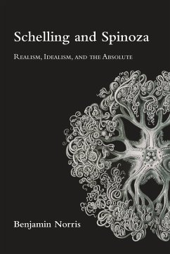 Cover Schelling and Spinoza