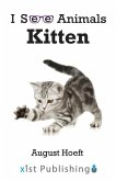 Kitten Kitten
