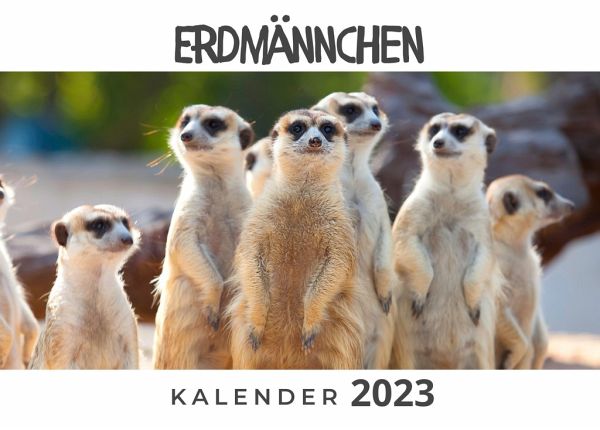 Erdmännchen Erdmännchen