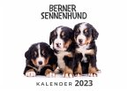 Berner Sennenhund