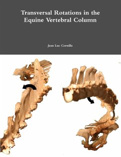 Transversal Rotations in the Equine Vertebral Column - Cornille, Jean Luc
