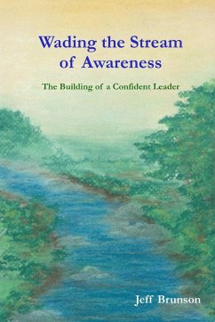 Cover Wading the Stream of Awareness