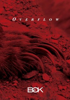 Overflow - Bgk