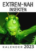 Extrem Nah - Insekten