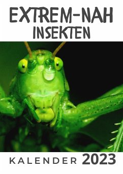 Extrem Nah - Insekten - Hübsch, Bibi