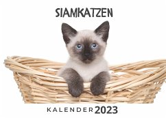 Siamkatzen - Hübsch, Bibi