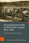 Kriegsgefangenschaft in Österreich-Ungarn 1914-1918 (eBook, PDF)