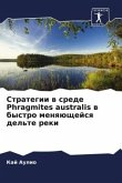 Стратегии в среде Phragmites australis в быстро меняющейся k