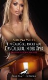 Ein CallGirl packt aus - Das Callgirl in der Oper   Erotische Geschichte + 1 weitere Geschichte