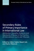 Secondary Rules of Primary Importance in International Law (eBook, ePUB)