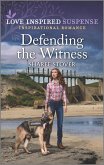 Defending the Witness (eBook, ePUB)