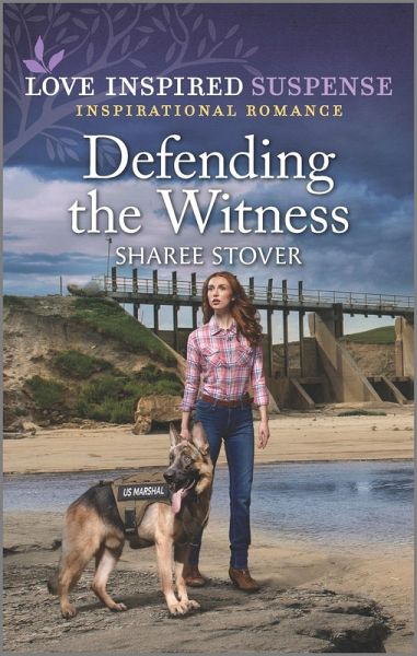Defending the Witness (eBook, ePUB)