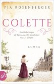 Colette / Außergewöhnliche Frauen zwischen Aufbruch und Liebe Bd.14