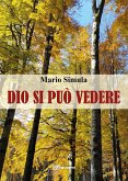 Dio si può vedere (eBook, ePUB)