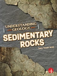 Sedimentary Rocks - Vonder Brink, Tracy
