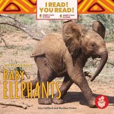 We Read about Baby Elephants