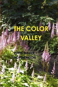 THE COLOR VALLEY - Thorgrimson, John Walter