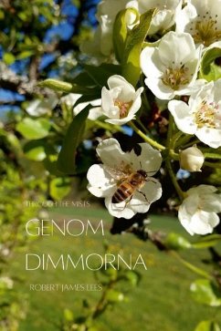 Genom dimmorna - Stor text - Lees, Robert James; Winterleigh, Frederick