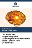 Die Rolle der hippocampalen GABAergen Interneuronen beim Lernen und Gedächtnis