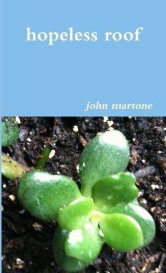 hopeless roof - Martone, John