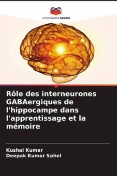 Rôle des interneurones GABAergiques de l'hippocampe dans l'apprentissage et la mémoire - Kumar, Kushal;Kumar Sahel, Deepak