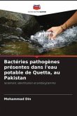 Bactéries pathogènes présentes dans l'eau potable de Quetta, au Pakistan